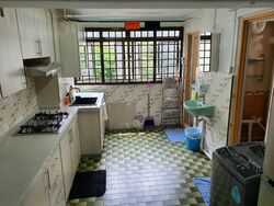 Holland Avenue (Queenstown),  #352438361